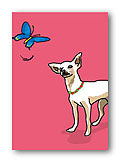 Chihuahua & Butterfly