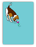 Beagle & Flower